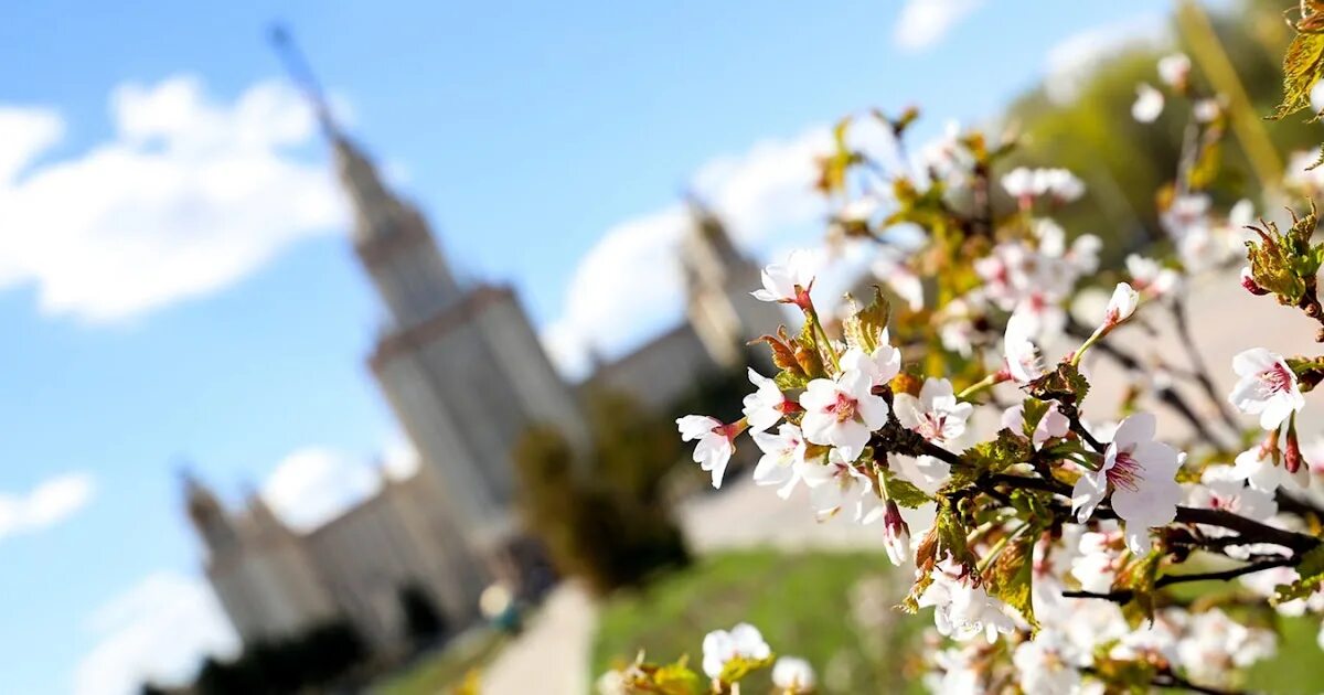 Весенний город. Москва весной. Spring is russia