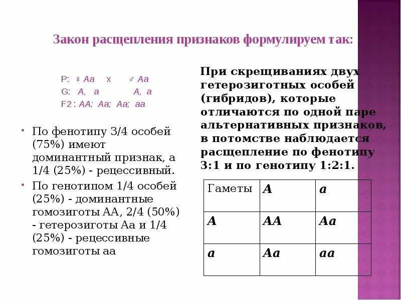 Закон расщепления. Закр расщепленич признаков. 2 Закон расщепления признаков. Закон расщепления биология.