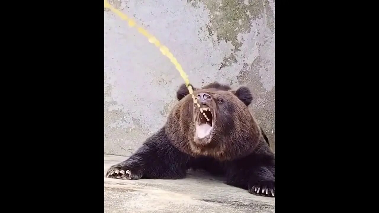 Фантом пью