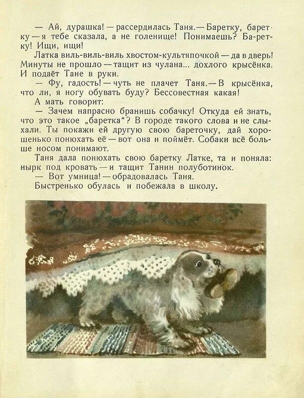 Бианки как соли на хвост насыпать. Виталий бианки как я хотел зайцу соли на хвост насыпать. рассказ в.в.бианки . как я хотел зайцу соли на хвост насыпать. бианки как я хотел зайцу соли на хвост насыпать читать. бианки как зайцу на хвост соли насыпать.
