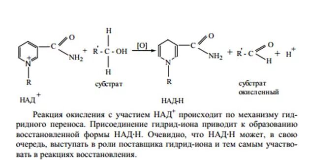 Способные окислять. Реакция восстановления над. Над окисленная и восстановленная форма. Реакция восстановления молекулы над. НАДН восстановленный.