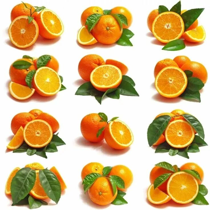 Гпо фрукты лист. Цитрус фрукты для детей. Мандарин вектор. Апельсины мультяшные. Этикетки на мандаринах и апельсинах.