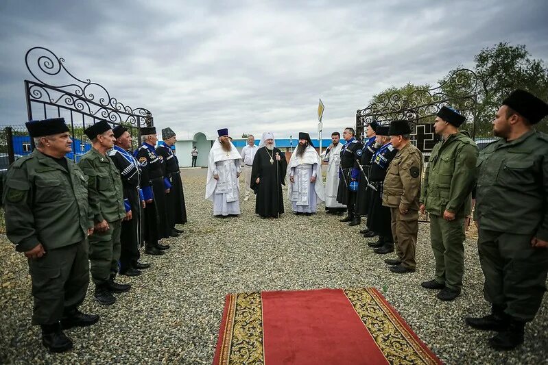 Погода в с б джалга на неделю