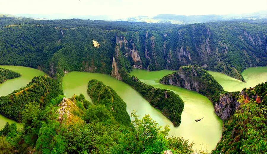 каньон увац сербия. каньон увац сербия. национальный парк джердап сербия. каньон реки увац. национальный парк увац сербия.