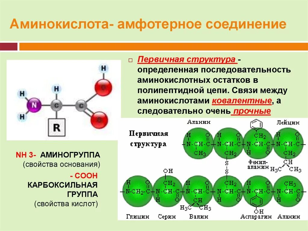 Аминокислоты амфотерные соединения. Соединение аминокислот. Строение белков химия. Аминокислоты как амфотерные органические соединения. Аланин проявляет амфотерные свойства