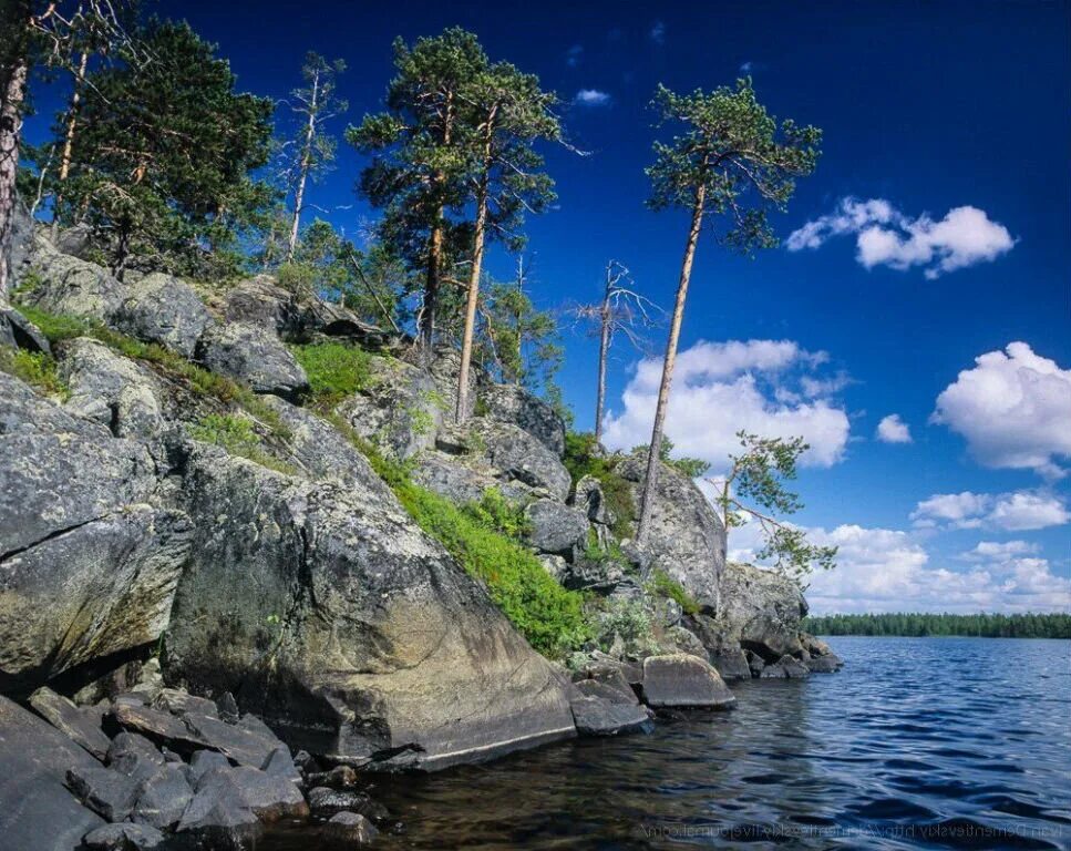 Озера северной карелии. Озеро Топозеро. Топозеро Карелия. Северная Карелия.