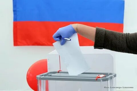 Голосование происходит