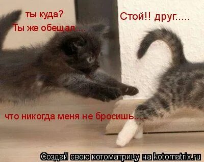 Канги обложка альбома. Не нравлюсь себе. Ну здрасте. Бросил меня стихи. Ты меня не бросишь да.