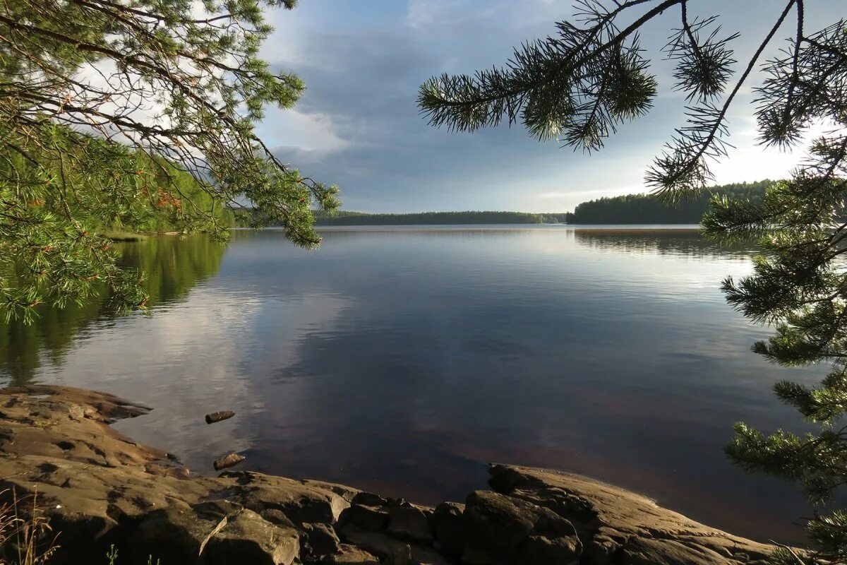 Онежское озеро впадает. Река суна Карелия. Озеро Кивач Карелия. Суна (река, впадает в Онежское озеро). Река Сандалка Карелия.