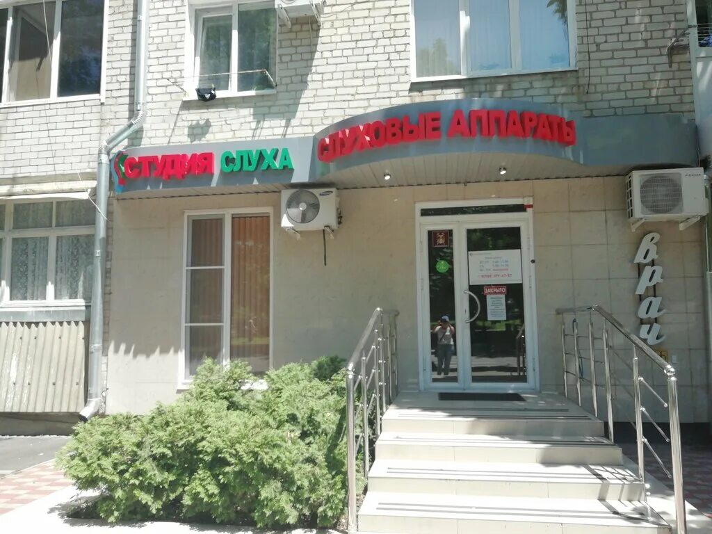 розы люксембург. Cl лаборатория армавир. люксембург 105 армавир. розы люксембург 105 армавир. армавир розы люксембург 105.