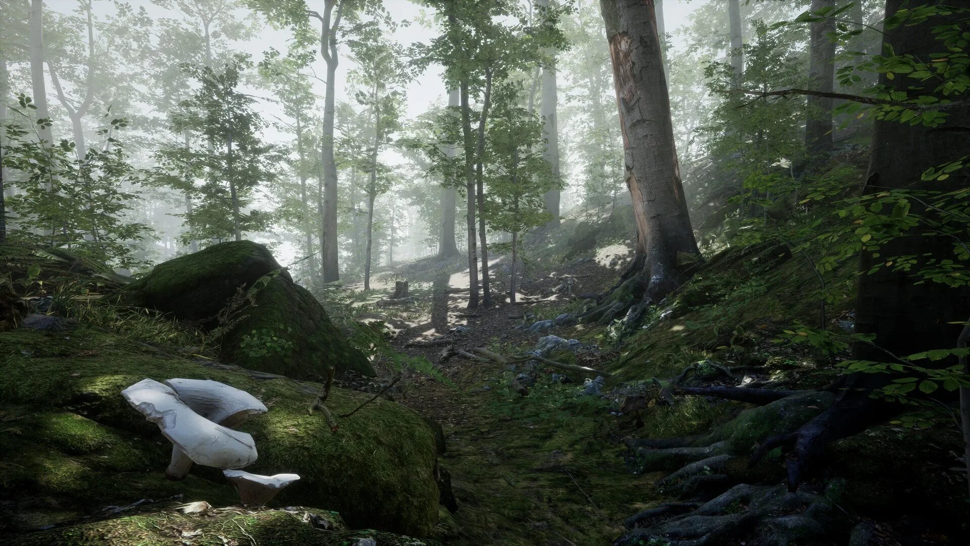 Forest set. Unreal engine 5 реалистичная графика. How to make scenery for bolt action models. Русский лес в unreal engine. Игрушка лес.