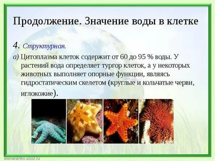 Что значит продолжение