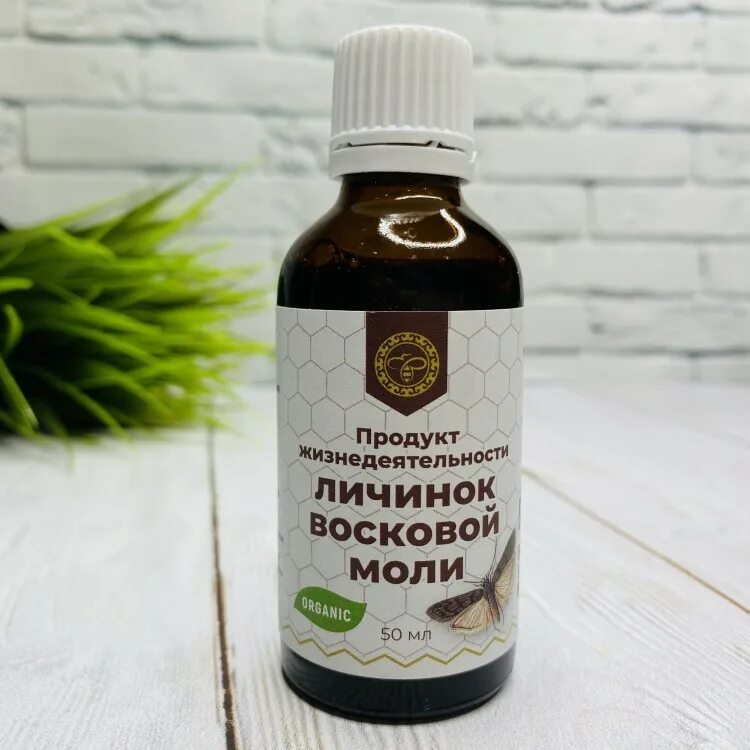 Экскременты личинок восковой моли. Продукт жизнедеятельности личинок восковой моли. Продукт жизнедеятельности восковой моли польза. Личинки восковой моли. Лекарство личинки восковой моли.