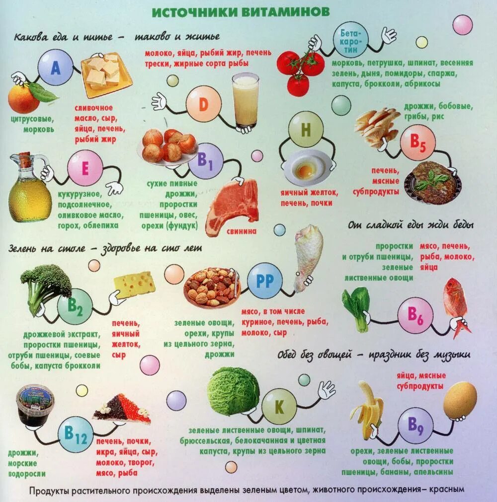 Полезная информация о витаминах. Витамины для дошкольников. Плакат витамины. Правильное питание витамины.