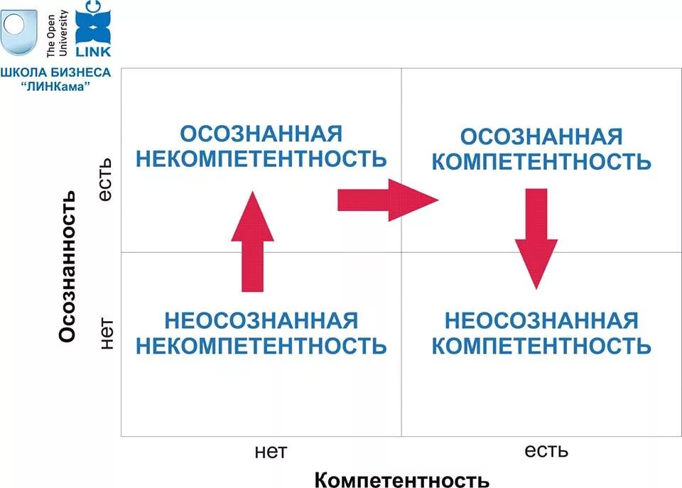Компетенция осознанного выбора. Компетенция осознанного выбора. Осознанная и неосознанная компетентность. Ступени компетентности. Осознанная некомпетентность и неосознанная компетентность.