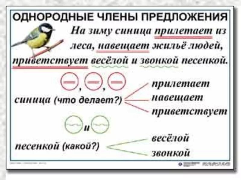 Предложения с однородн членами. Однородные прилагательные слова