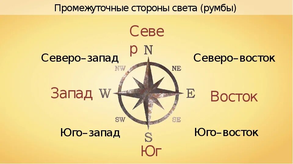 Расположение севера Юга и Запада на компасе. Направление на запад