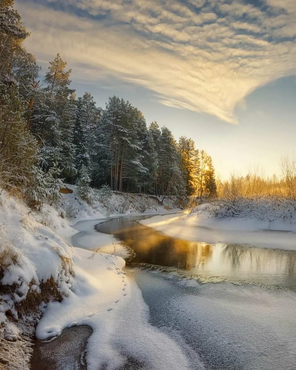 Пейзаж зимы. Дмитрий Медянцев фотограф. Зимний пейзаж. Зимняя природа. Красивые пейзажи зимы.