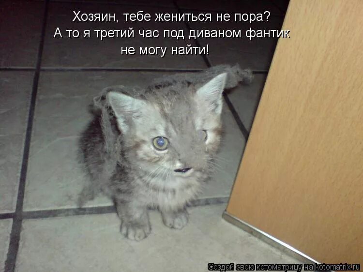 Ну сейчас говорила