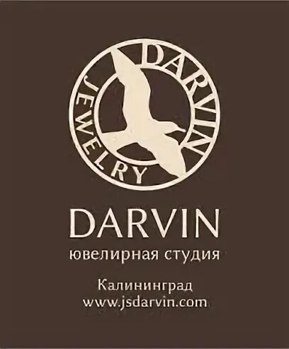 Логотип ювелира. Darvin_333🔥. Ювелирный завод дарвин калининград продукция. Дарвин калининград. Дарвин садовый центр шолохово.