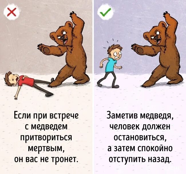 Что делать если увижу бывшего. Как спастись от медведя. если встретил медведя. при встрече с медведем прикол. как спастись от медведя в лесу.