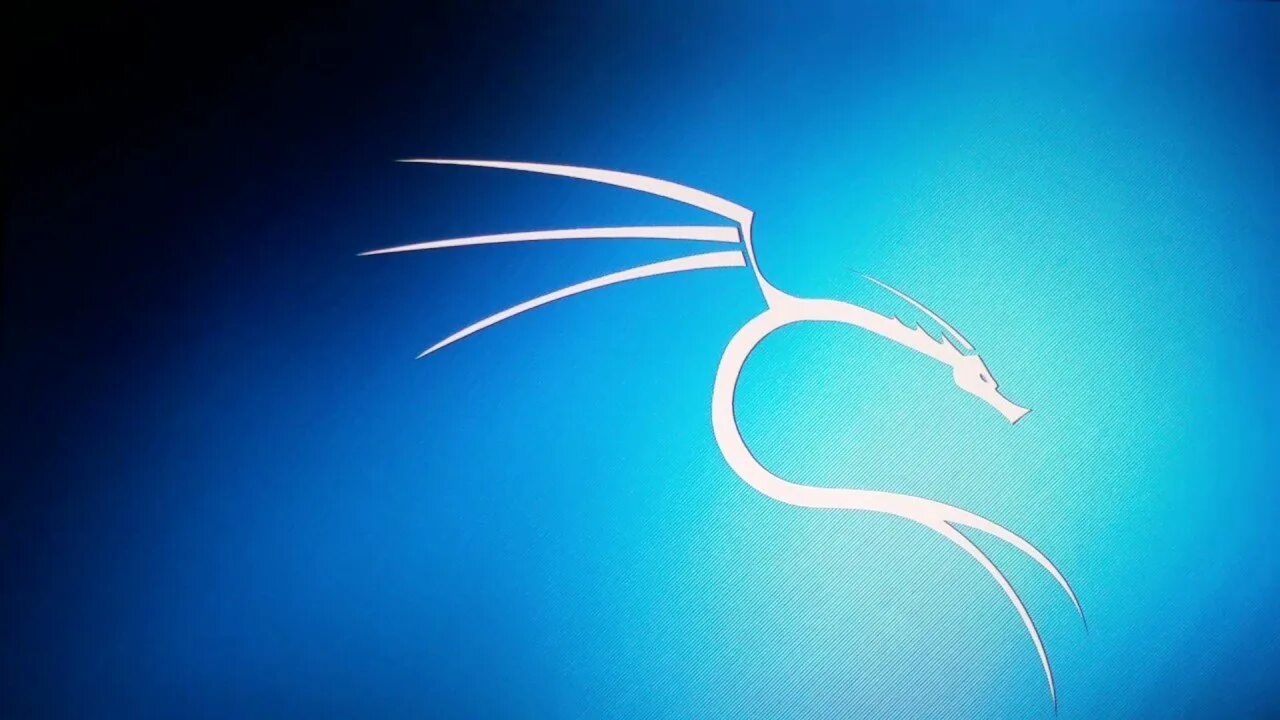 Почему кали линукс. Кали линукс 2025. kali linux операционная система. операционная система кали линукс. фото кали линукс.