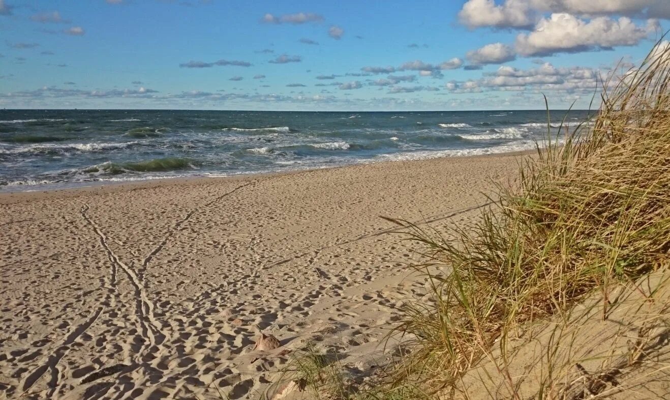 Донское Калининградская область море. Донское море Калининград. Пляж Донское Калининградская область. Балтийское море Донское.