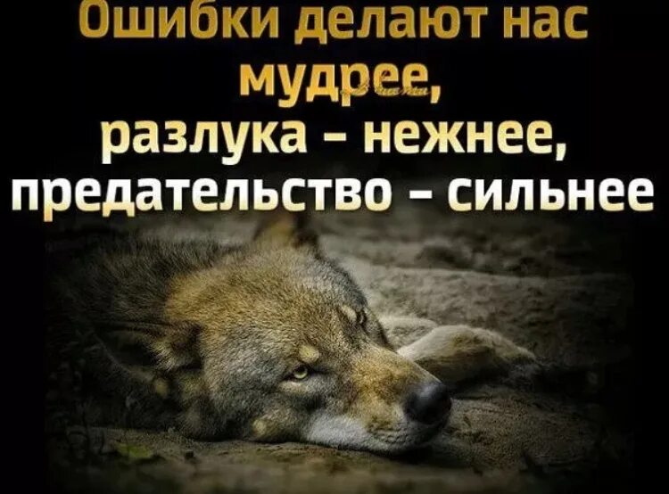 Умные мысли и высказывания. Красивые и умные высказывания. Цитаты которые заставляют задуматься. Умные люди не обижаются они делают выводы. Делай умное лицо.