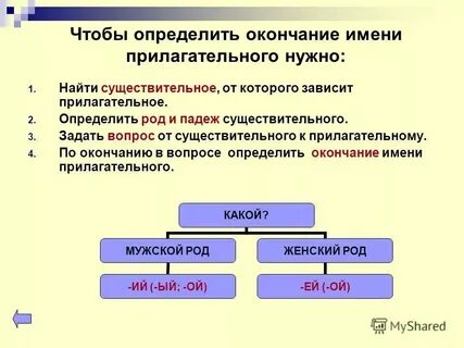 Род число имени прилагательного зависит от