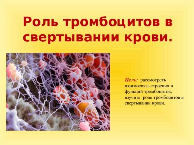 Силен и тромбоциты. Силен и тромбоциты