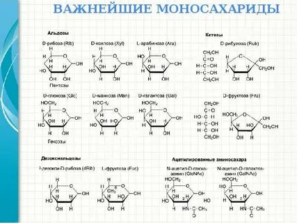 Мальтоза это моносахарид или полисахарид