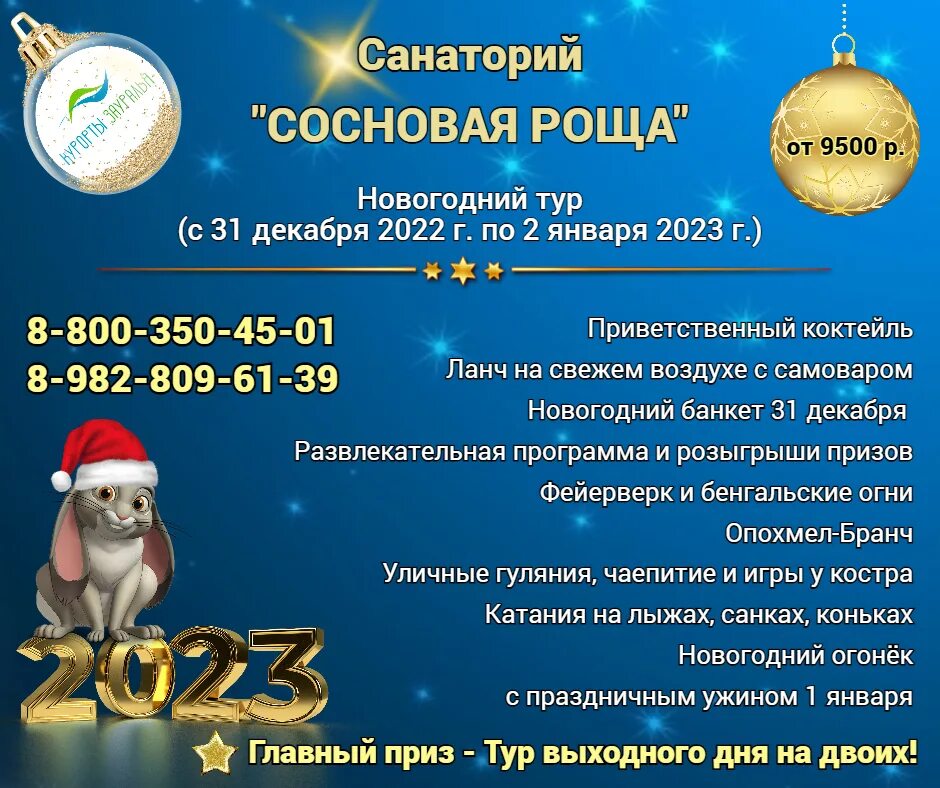 Санаторий новый год 2024 с лечением. Новогодняя программа 2023. Новогодняя программа в ресторане 2023. Новый год в санатории. Новый год в санатории 2023.