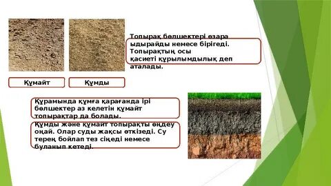 Порно жалап анал бетке отырды