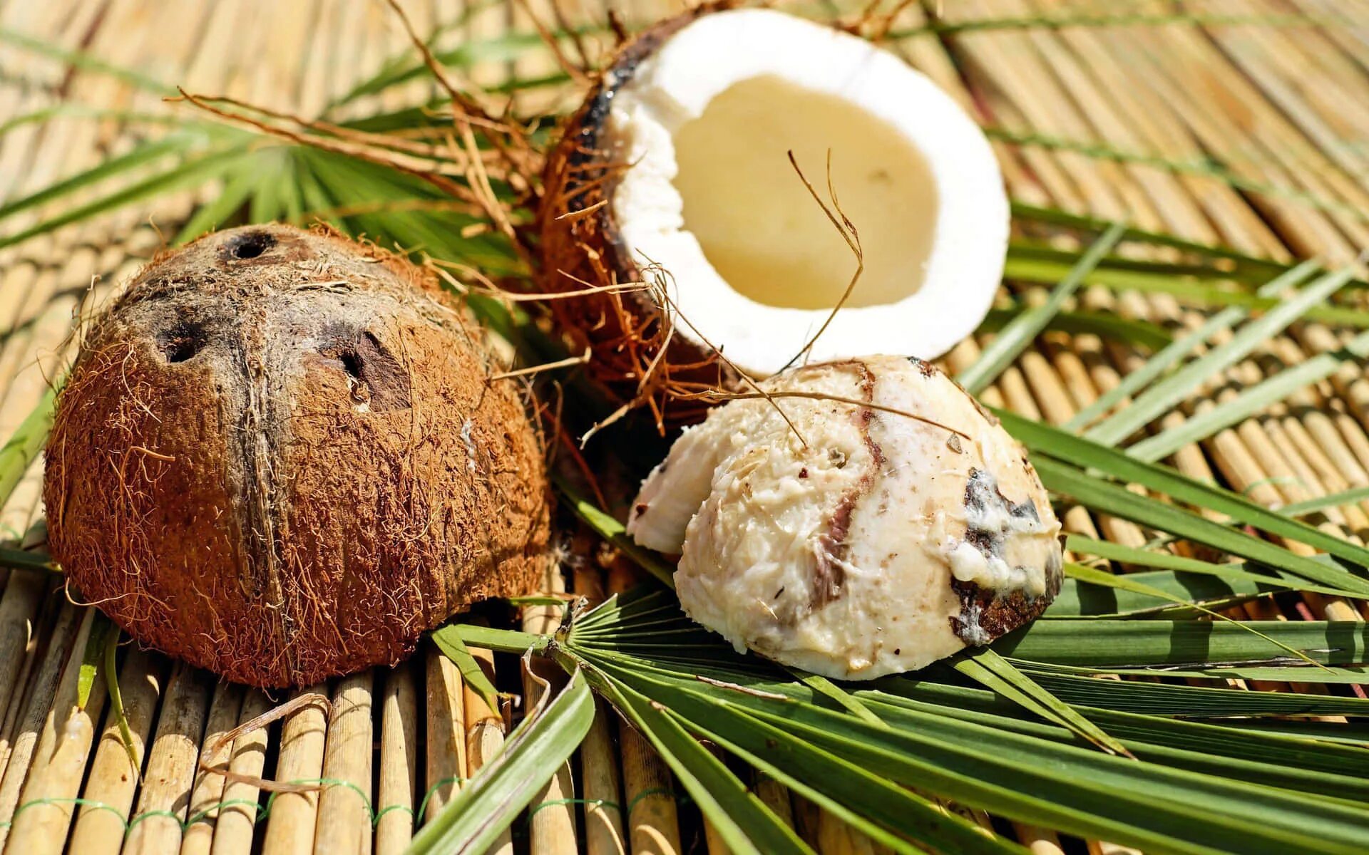Coconut перевод на русский. Коконат Кокос. Кокос орех. Кокосовая Пальма. Плод кокосовой пальмы.