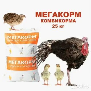 Комбикорм титан