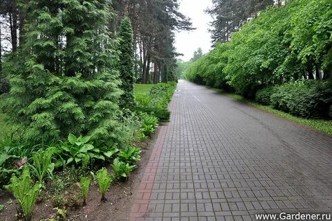 Ботанический сад национальной академии наук кыргызской республики