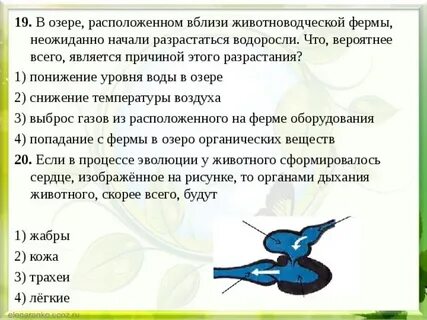 Если в процессе эволюции у животного сформировалась