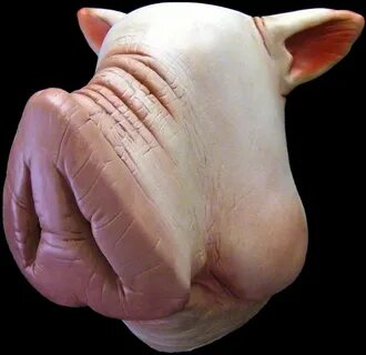 Pig 1