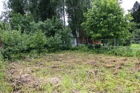 Трудовая московская область