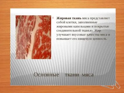Жировой костной и мышечной ткани