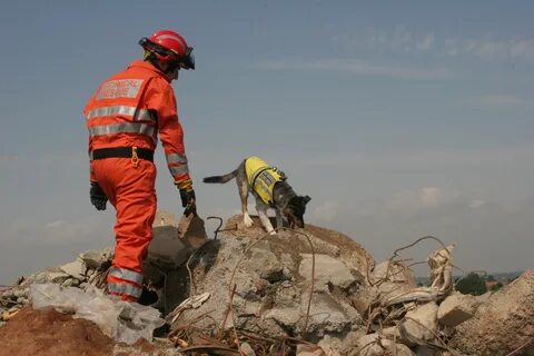 Search and rescue