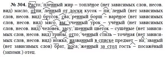 Русский язык 8 класс номер 361. Русский язык 8 класс ладыженская номер 304. Русский язык 8 класс упражнение 304. Упражнение 304.