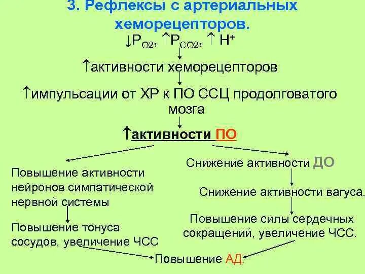 Хеморецепторный механизм регуляции ад. Рефлекс с артериальных хеморецепторов. Хеморецепторный рефлекс регуляции артериального давления. Хеморецепторные рефлексы регуляции ад. Рефлекторная регуляция кровяного давления