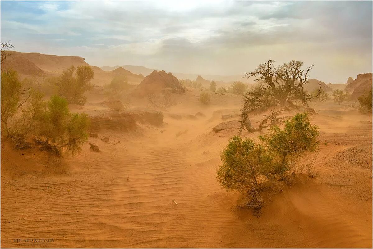 Песчаная буря. Эффект песчаной бури. Песчаный туман. Сахара сэндс. Песчаный туман.