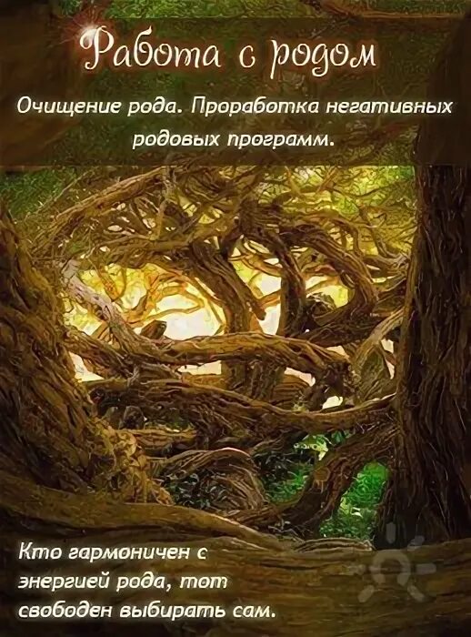 Программы рода. Родовые программы. очищение рода. проработка рода. проработка родовых программ.
