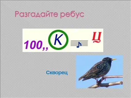 Отгадай 100