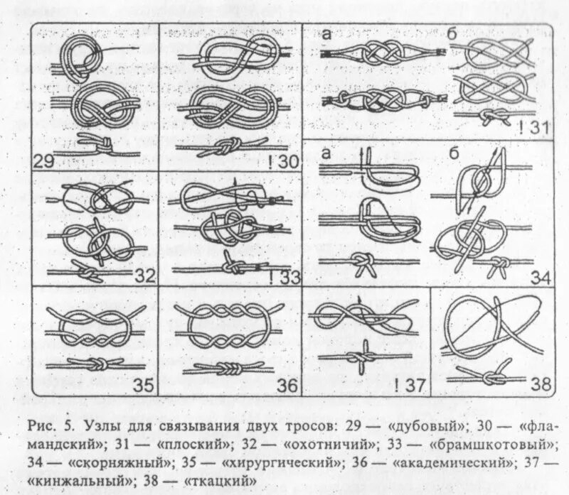 Определите тип узлов