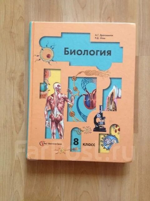 Биология 8 а г драгомилов. Биология 8 класс учебник маш. Биология 8 класс драгомилов. Биология 8 класс драгомилов ФГОС. Биология 8 класс учебник драгомилов.