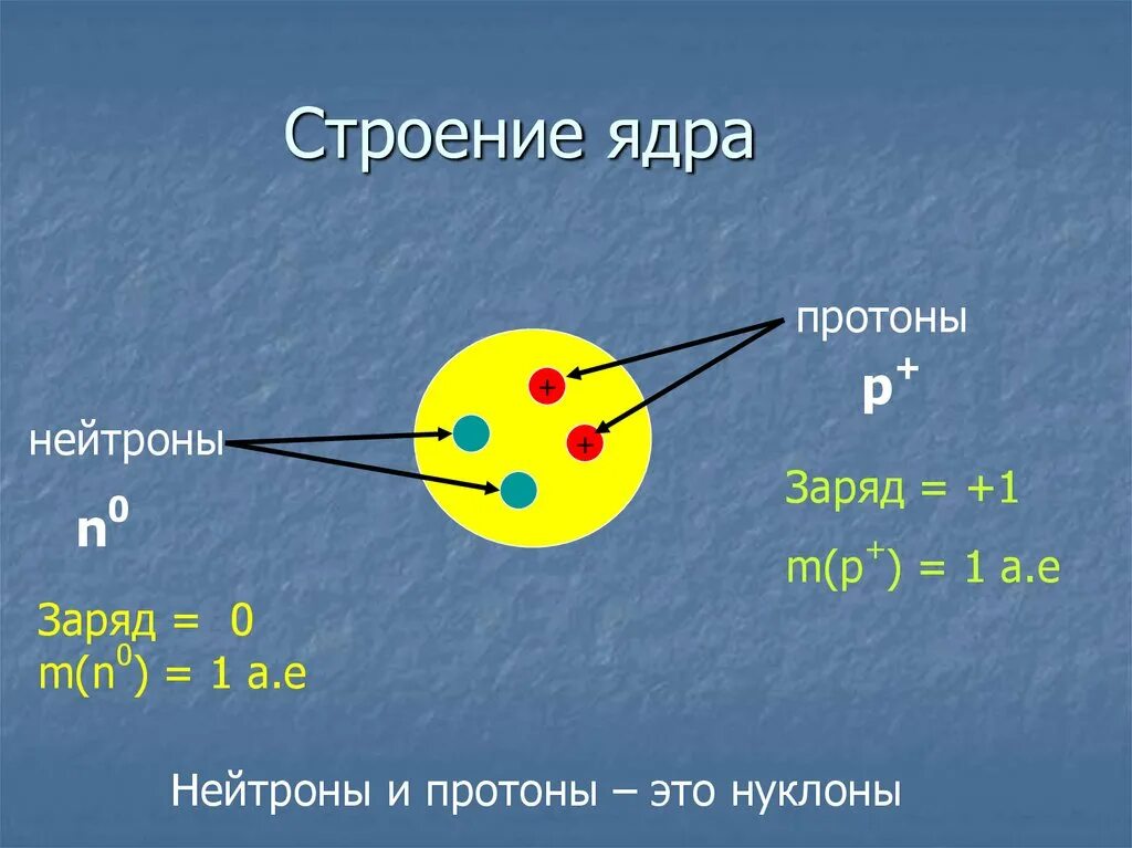 Как называются протоны и нейтроны вместе физика. Строение ядра протоны и нейтроны. Состав ядра нейтроны. Протоны нейтроны электроны физика. Протоны и нейтроны в ядре.