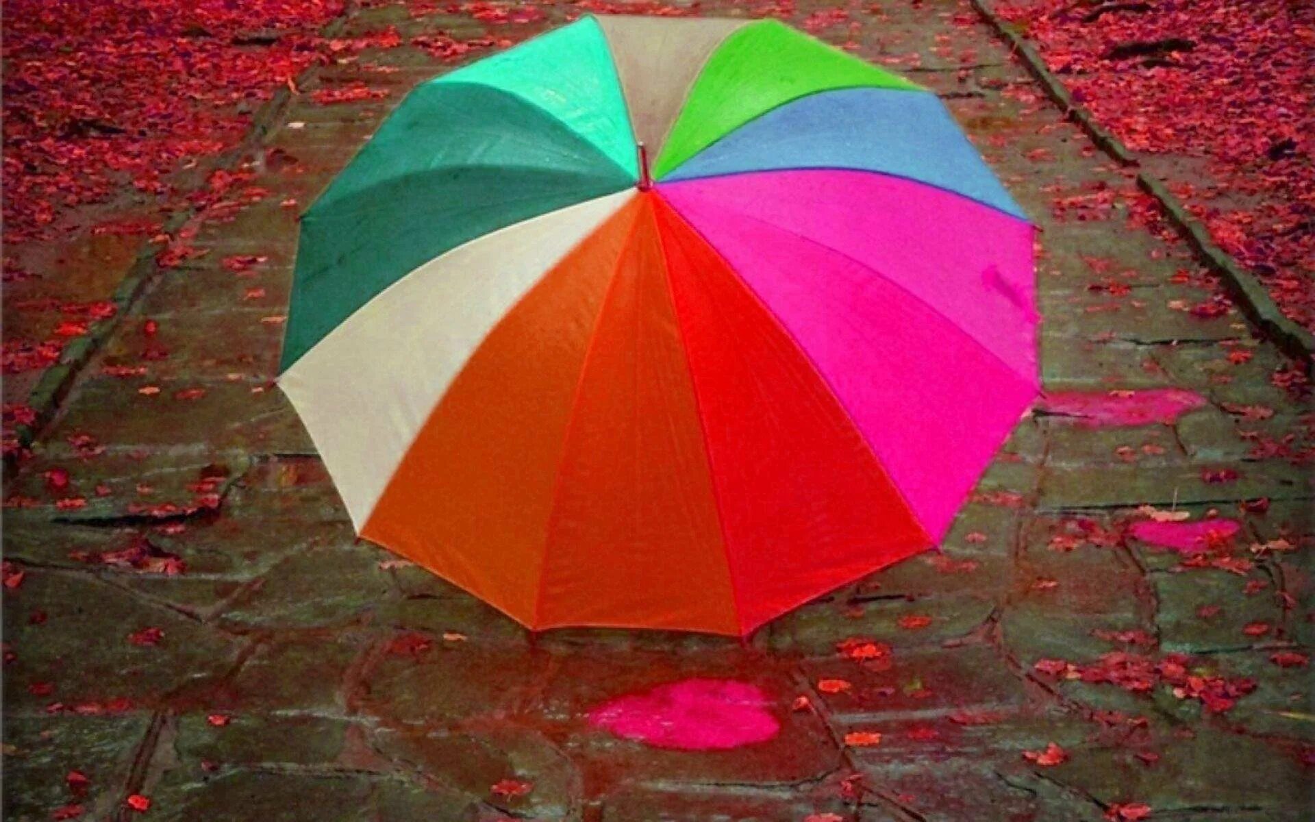 Зонтик на асфальте